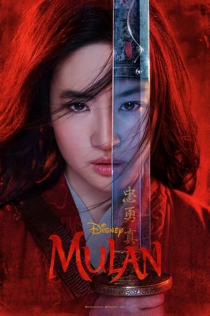 En dvd sur amazon Mulan