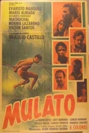 En dvd sur amazon Mulato