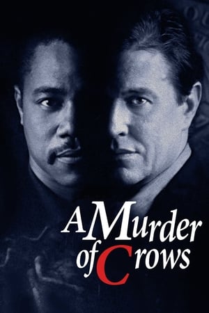 En dvd sur amazon A Murder of Crows