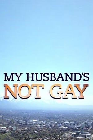 En dvd sur amazon My Husband's Not Gay