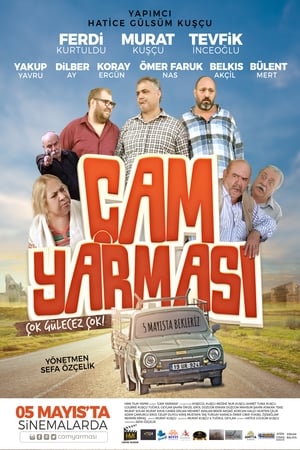 En dvd sur amazon Çam Yarması