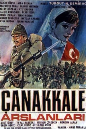 En dvd sur amazon Çanakkale Aslanları