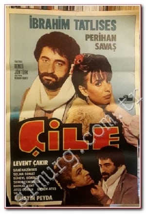 En dvd sur amazon Çile