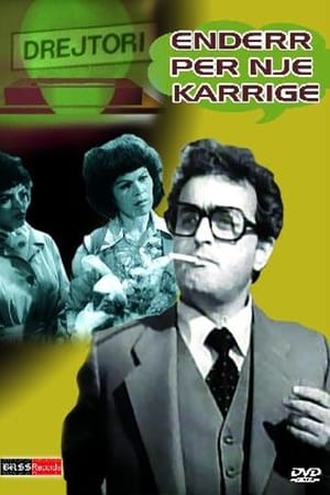 En dvd sur amazon Ëndërr për një karrige