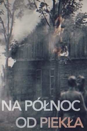 En dvd sur amazon Na północ od piekła