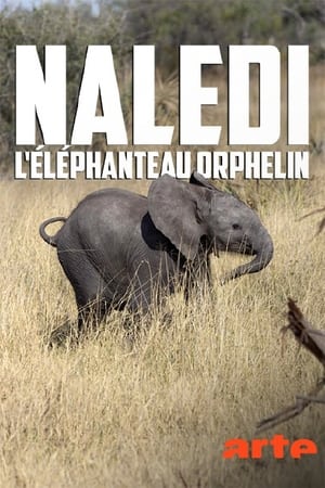 En dvd sur amazon Naledi: A Baby Elephant's Tale