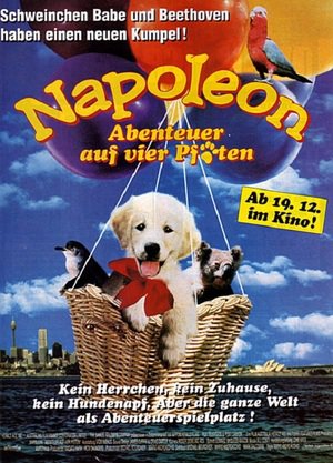 En dvd sur amazon Napoleon