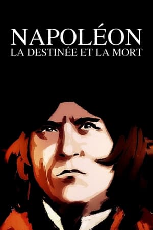En dvd sur amazon Napoléon : la destinée et la mort