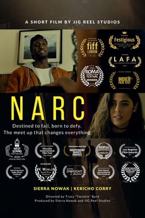 En dvd sur amazon Narc