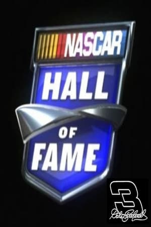 En dvd sur amazon NASCAR Hall of Fame Biography: Dale Earnhardt