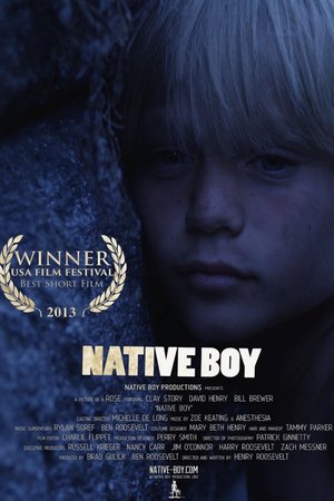 En dvd sur amazon Native Boy