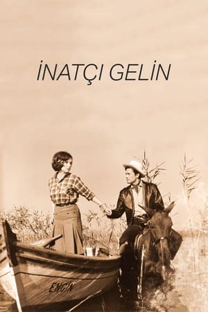 En dvd sur amazon İnatçı Gelin