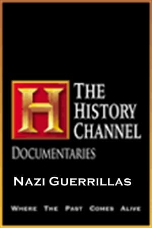En dvd sur amazon Nazi Guerillas