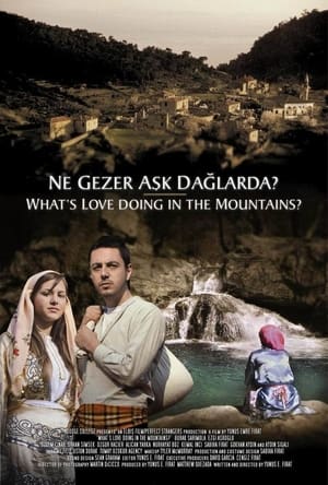En dvd sur amazon Ne Gezer Aşk Dağlarda?