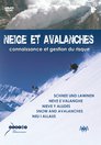 Neige et Avalanches