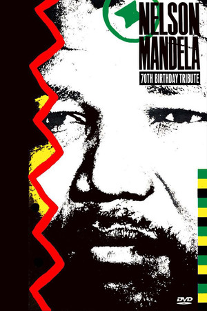 En dvd sur amazon Nelson Mandela 70th Birthday Tribute