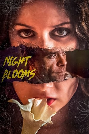 En dvd sur amazon Night Blooms