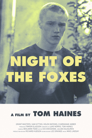 En dvd sur amazon Night of the Foxes