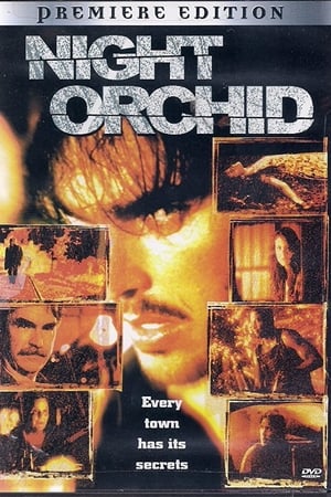 En dvd sur amazon Night Orchid