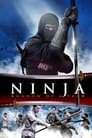 Ninja 2 : Shadow of a Tear