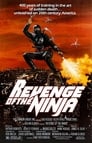 Ninja II Ultime Menace