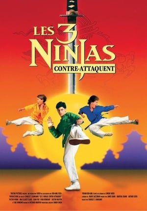 En dvd sur amazon 3 Ninjas Kick Back