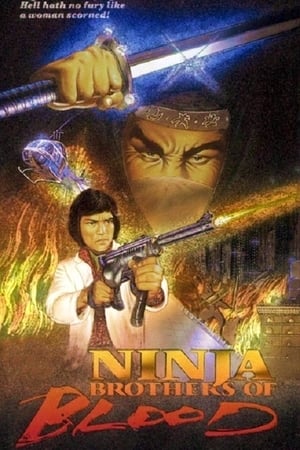 En dvd sur amazon Ninja Knight: Brothers of Blood