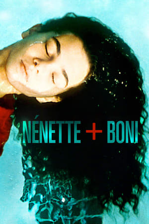 En dvd sur amazon Nénette et Boni