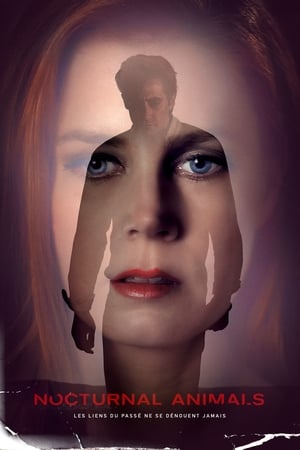 En dvd sur amazon Nocturnal Animals