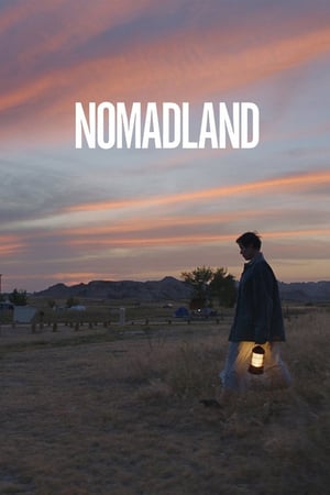 En dvd sur amazon Nomadland