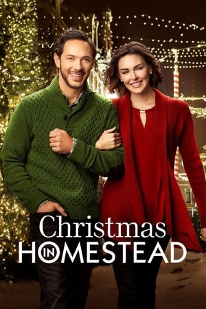 En dvd sur amazon Christmas in Homestead