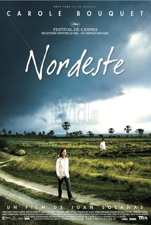 En dvd sur amazon Nordeste