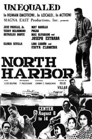 En dvd sur amazon North Harbor