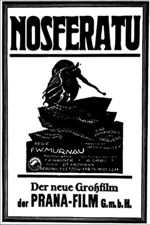 En dvd sur amazon Nosferatu, eine Symphonie des Grauens