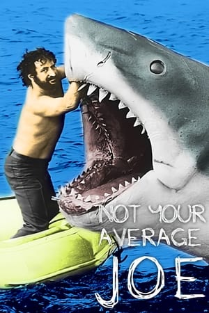 En dvd sur amazon Not Your Average Joe