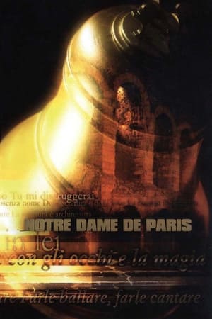 En dvd sur amazon Notre Dame de Paris - Live Arena di Verona
