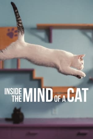 En dvd sur amazon Inside the Mind of a Cat