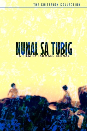 En dvd sur amazon Nunal sa Tubig