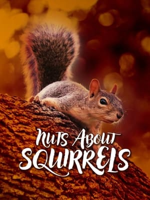 En dvd sur amazon Nuts About Squirrels