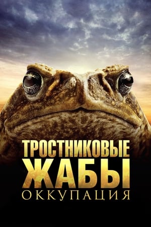 En dvd sur amazon Тростниковые жабы. Оккупация