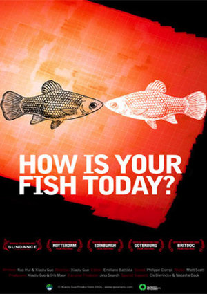 En dvd sur amazon 今天的鱼怎么样？