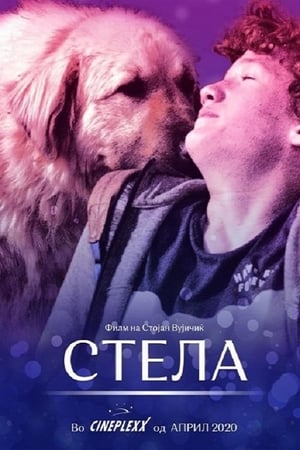 En dvd sur amazon Стела