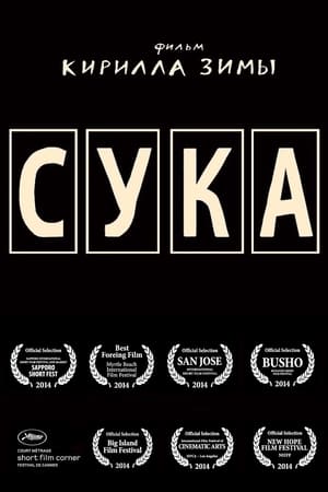 En dvd sur amazon Сука