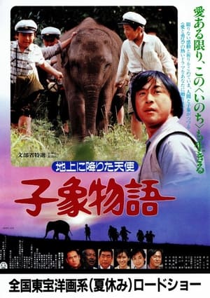 En dvd sur amazon 子象物語 地上に降りた天使