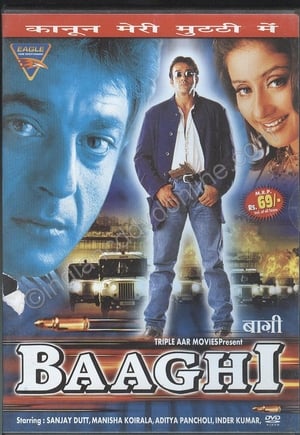 En dvd sur amazon बाग़ी