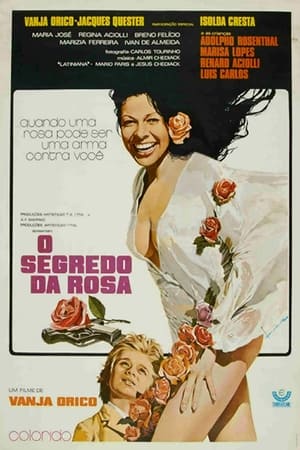 En dvd sur amazon O Segredo da Rosa