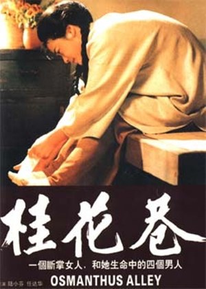 En dvd sur amazon 桂花巷