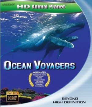 En dvd sur amazon Ocean Voyagers