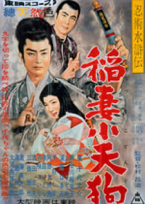 En dvd sur amazon 忍術水滸伝　稲妻小天狗