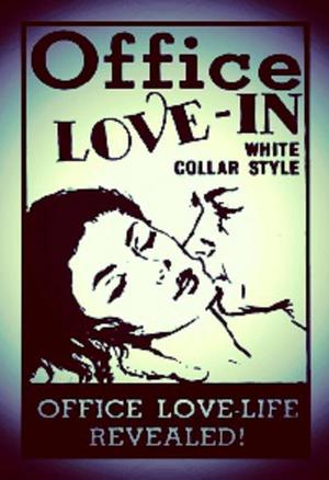 En dvd sur amazon Office Love-In, White Collar Style